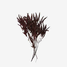 Laden Sie das Bild in den Galerie-Viewer, Trockenblumen Art. 0019 Farbe Rotwein