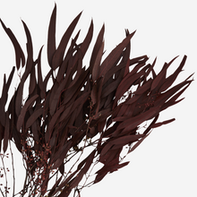 Laden Sie das Bild in den Galerie-Viewer, Trockenblumen Art. 0019 Farbe Rotwein