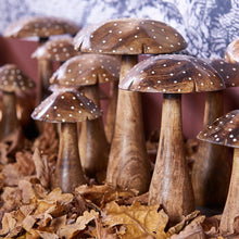 Laden Sie das Bild in den Galerie-Viewer, Deko-Pilz aus Holz von BOLTZE
