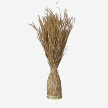 Laden Sie das Bild in den Galerie-Viewer, Trockenblumen Pflanze SALTUS 70 cm Natur Bund
